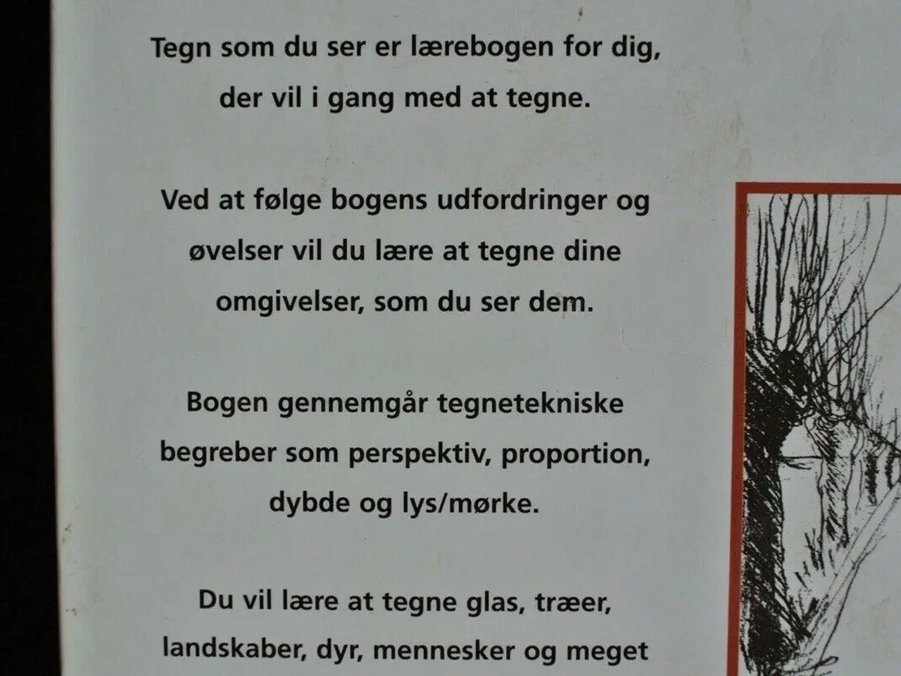 Billede 3 - tegn som du ser, af anne gyrite schütt, emne: hobb