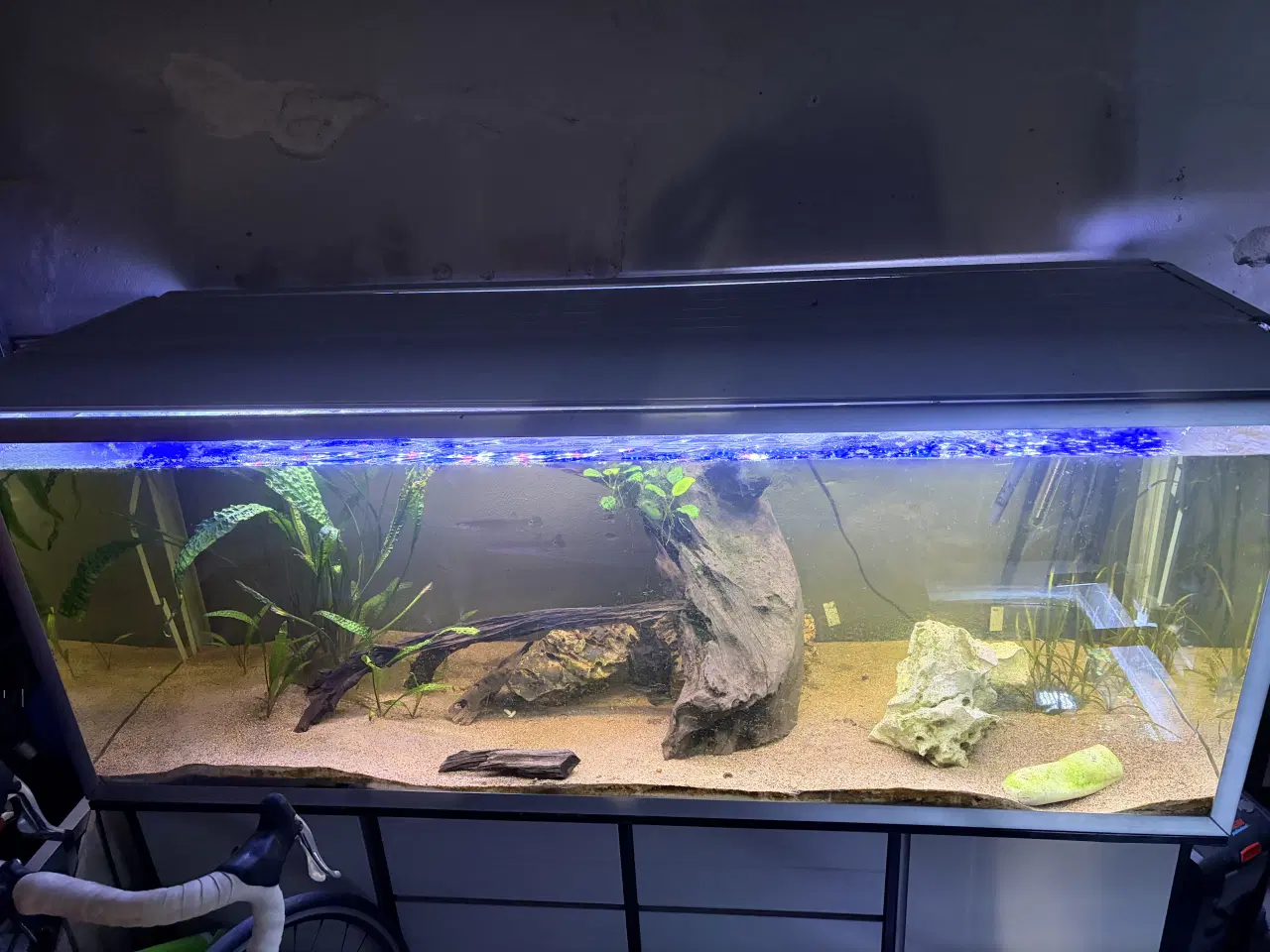 Billede 1 - 570 L akvarie med hvidt underskab