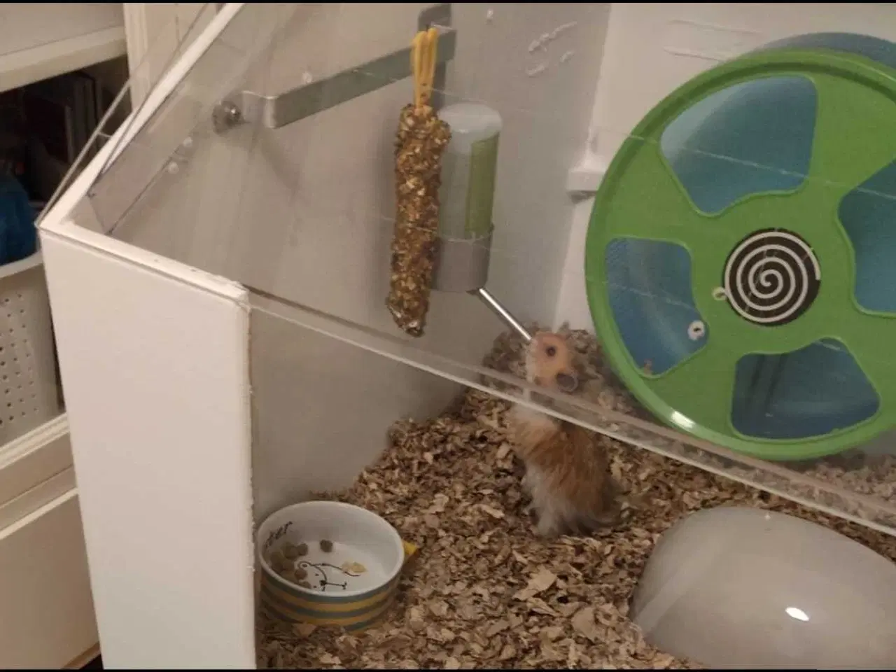 Billede 10 - Hamster bur og udstyr 