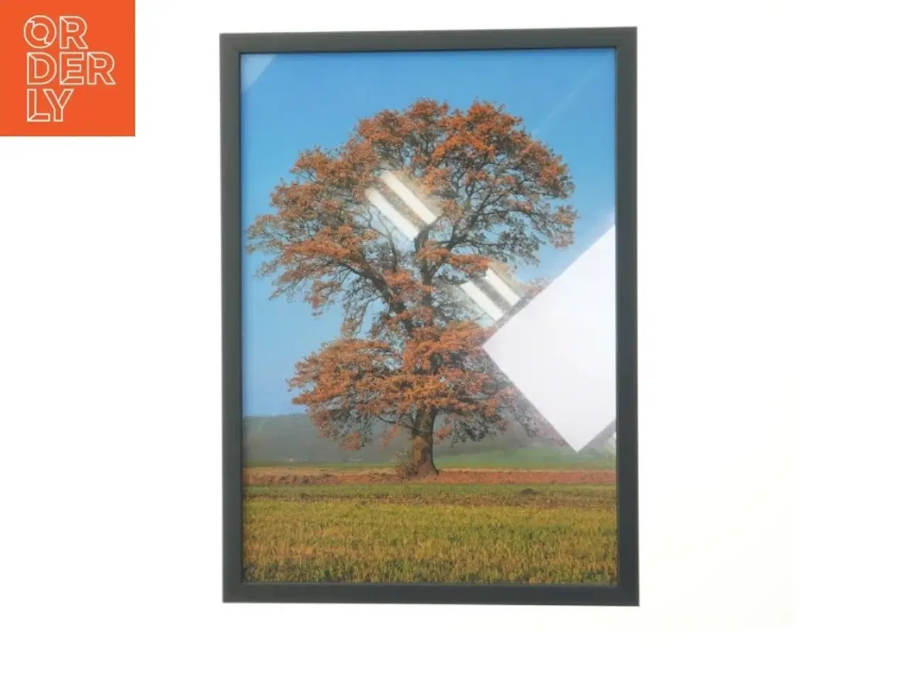 Billede 1 - Plakat i sort ramme (str. 29,8x42 cm)