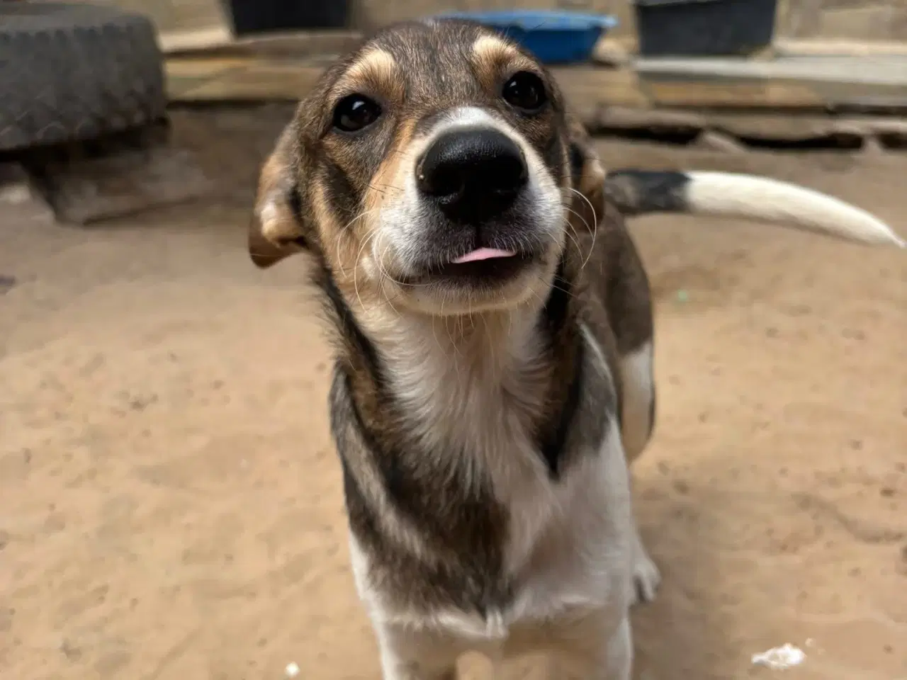 Billede 3 - Erik, modig og social 