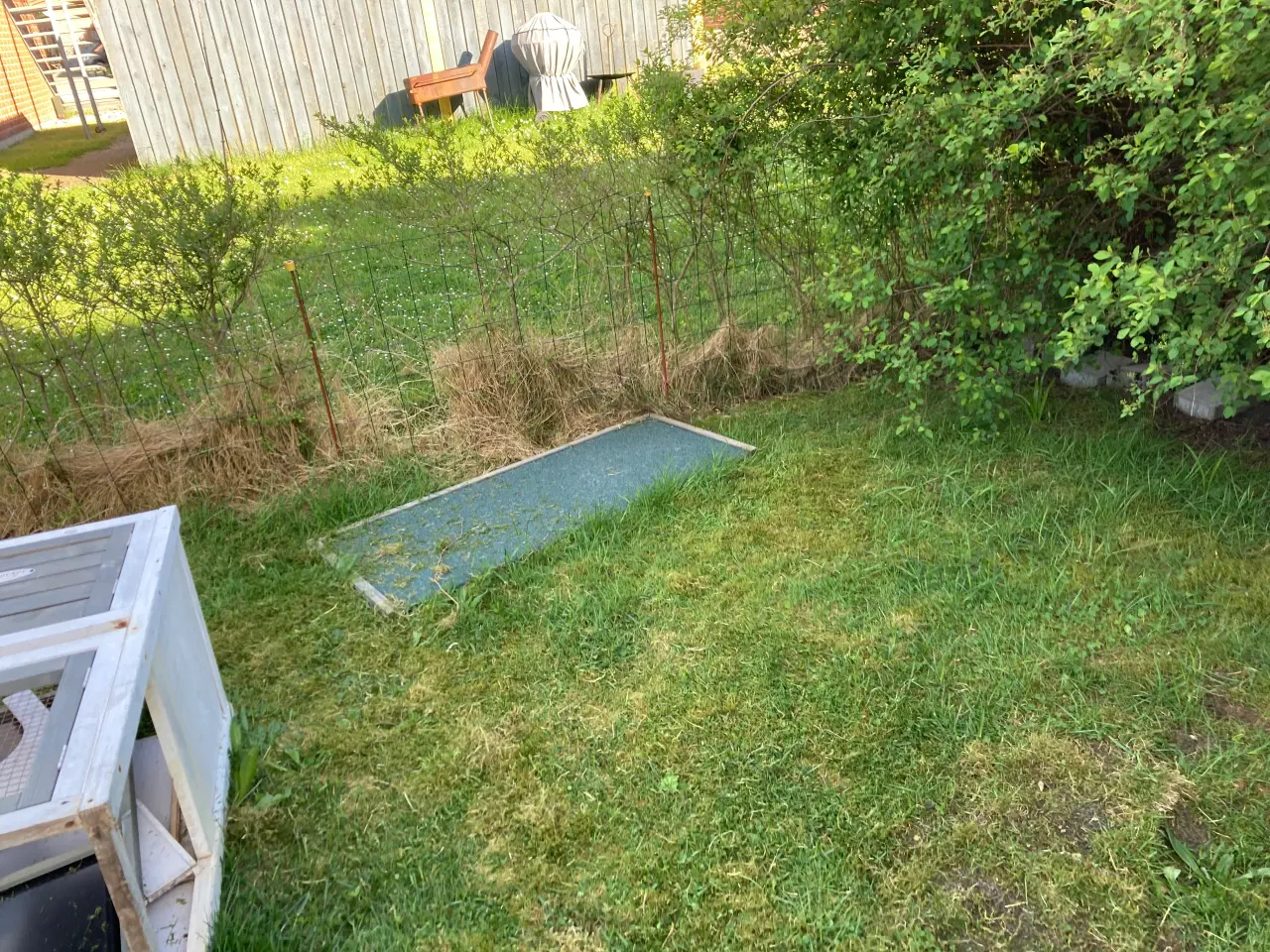 Billede 1 - Kaninbur egnet som sovebur til fri kanin