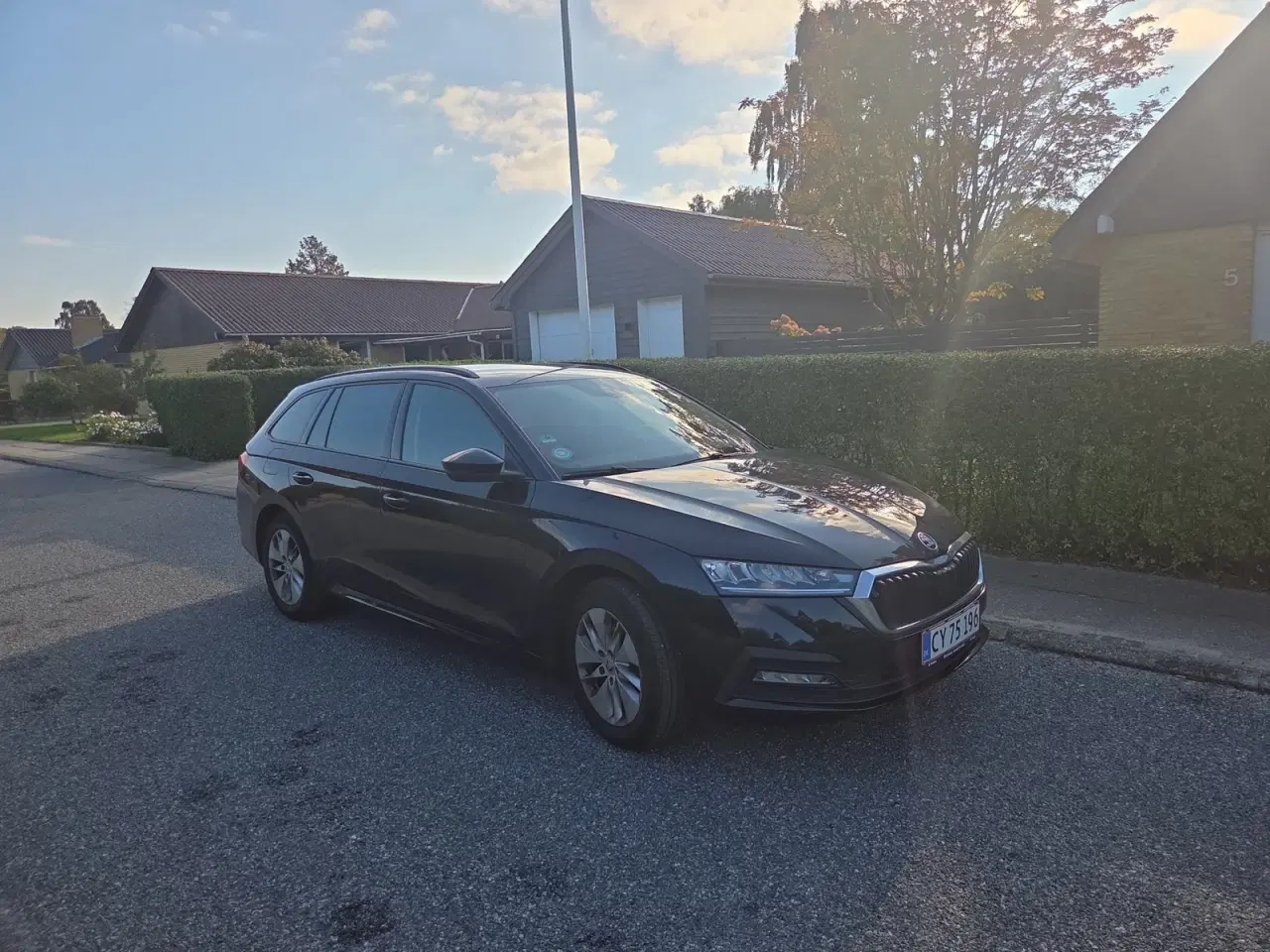 Billede 3 - Skoda Octavia 1,0 TSi 110 Ambition First Edition