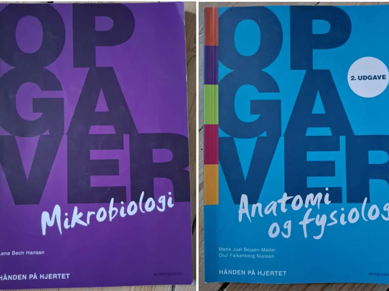 Billede 2 - Anatomi og Fysiologi & Mikrobiologi pakke