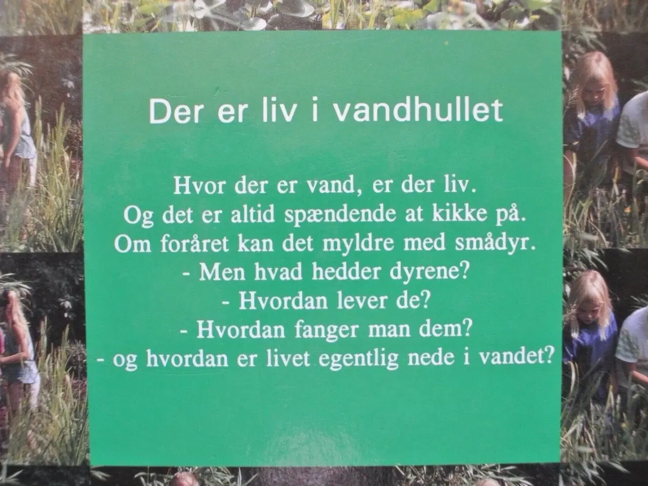 Billede 3 - vandhullet, af lars-henrik olsen. ill. af erik str