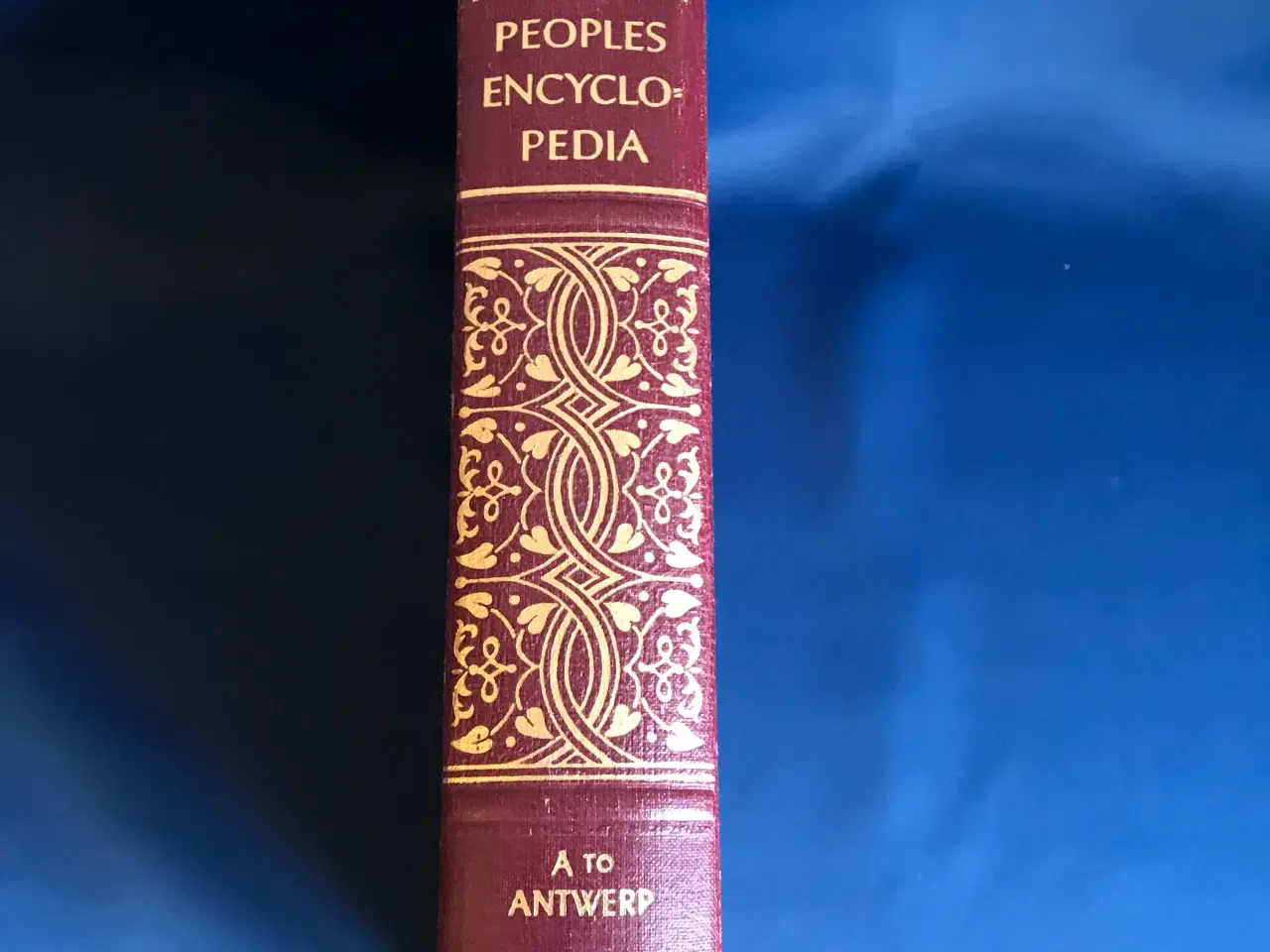 Billede 2 - The American Peoples Encyclopedia Indbundet 1-20