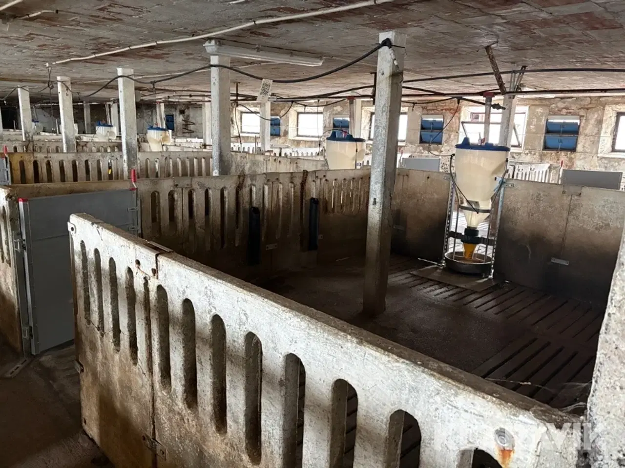 Billede 4 - Komplet grisestald