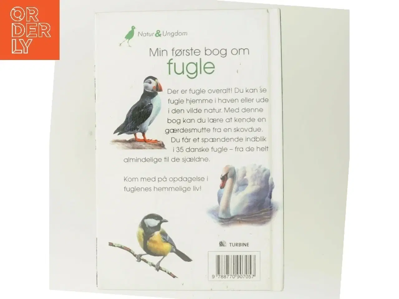 Billede 3 - Min første bog om fugle af Anita Ganeri (Bog)