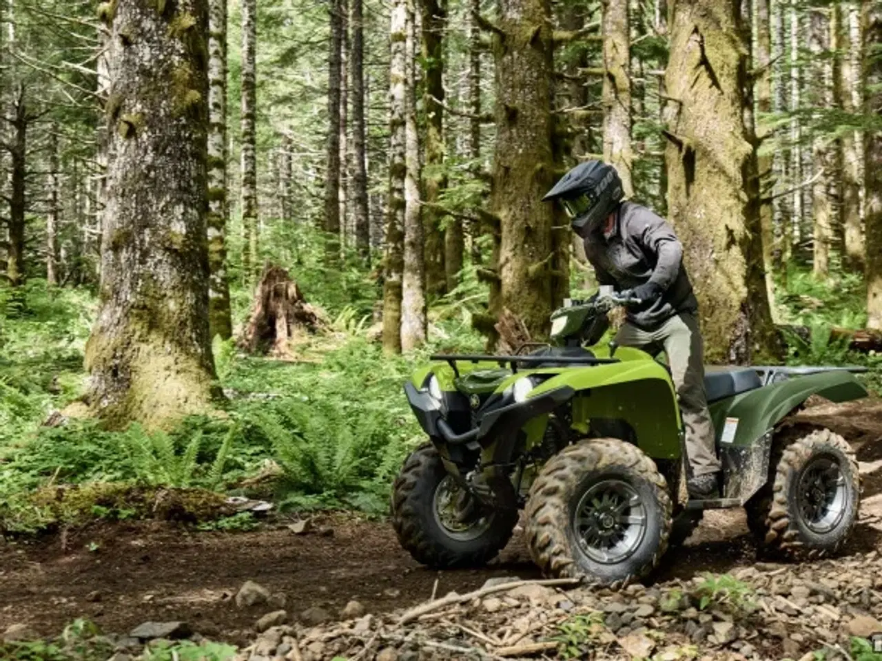 Billede 13 - Yamaha Grizzly 700 EPS Traktor