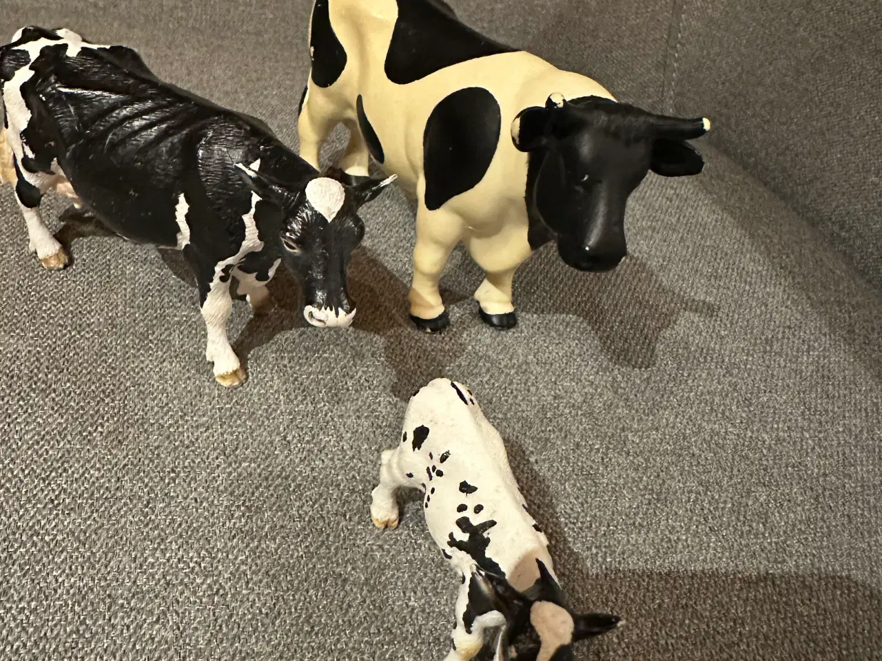 Billede 1 - Ko, tyr og kalv 