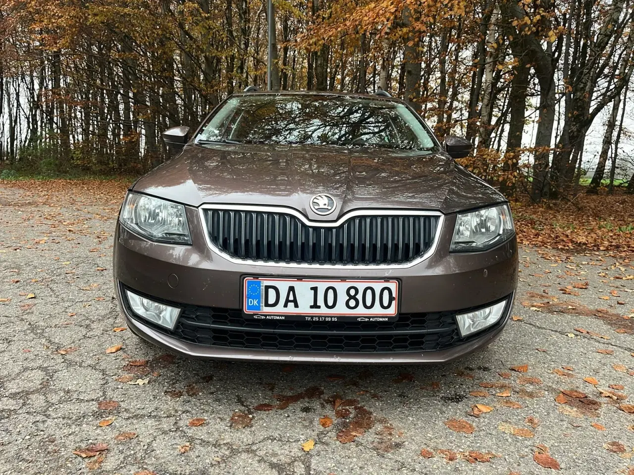 Billede 2 - Skoda Octavia 1,6 TDi 110 Style Combi DSG