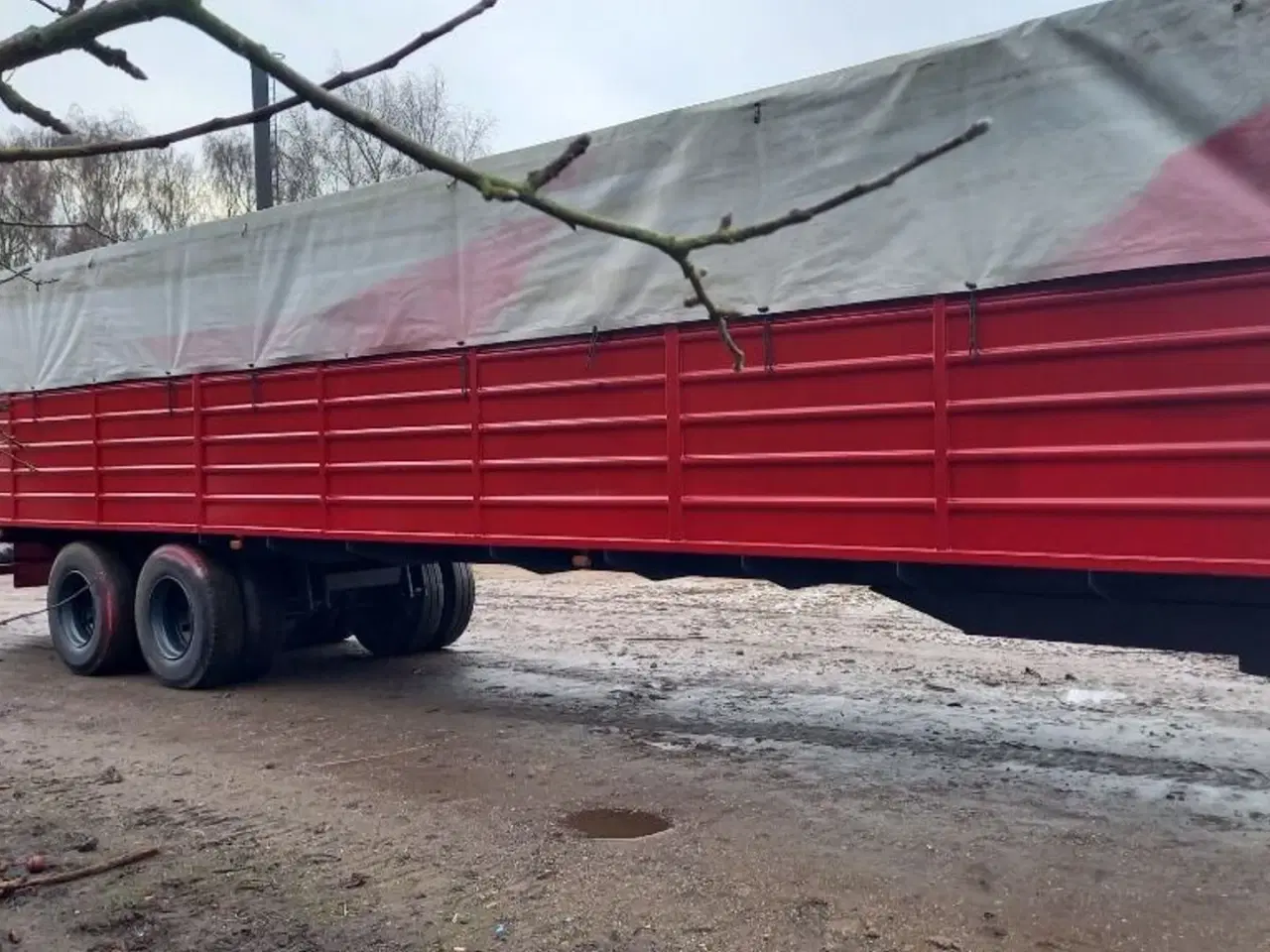 Billede 5 - Regerup Kvægtransport