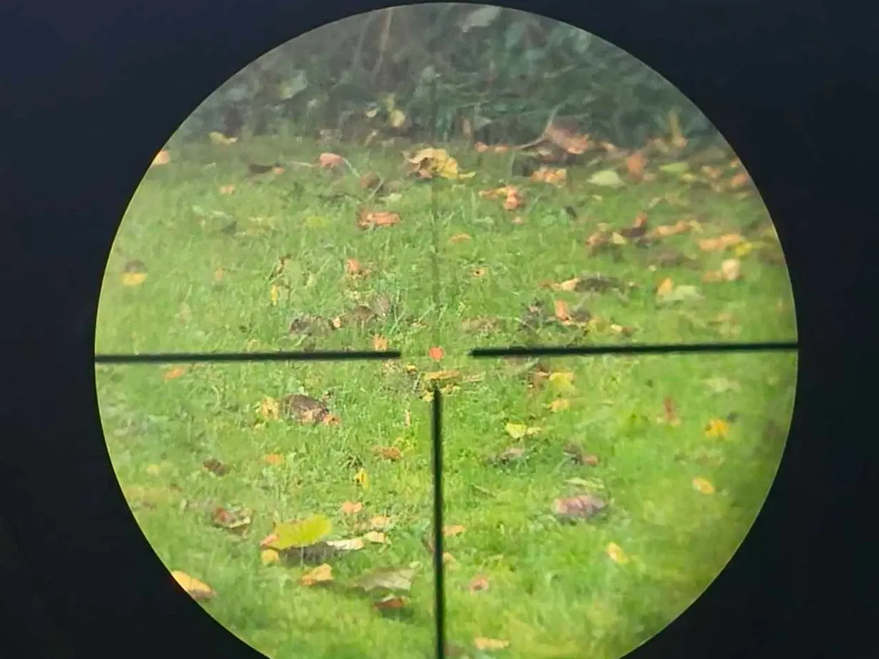 Billede 3 - Riffelkikkert Wildgame 3-12x56