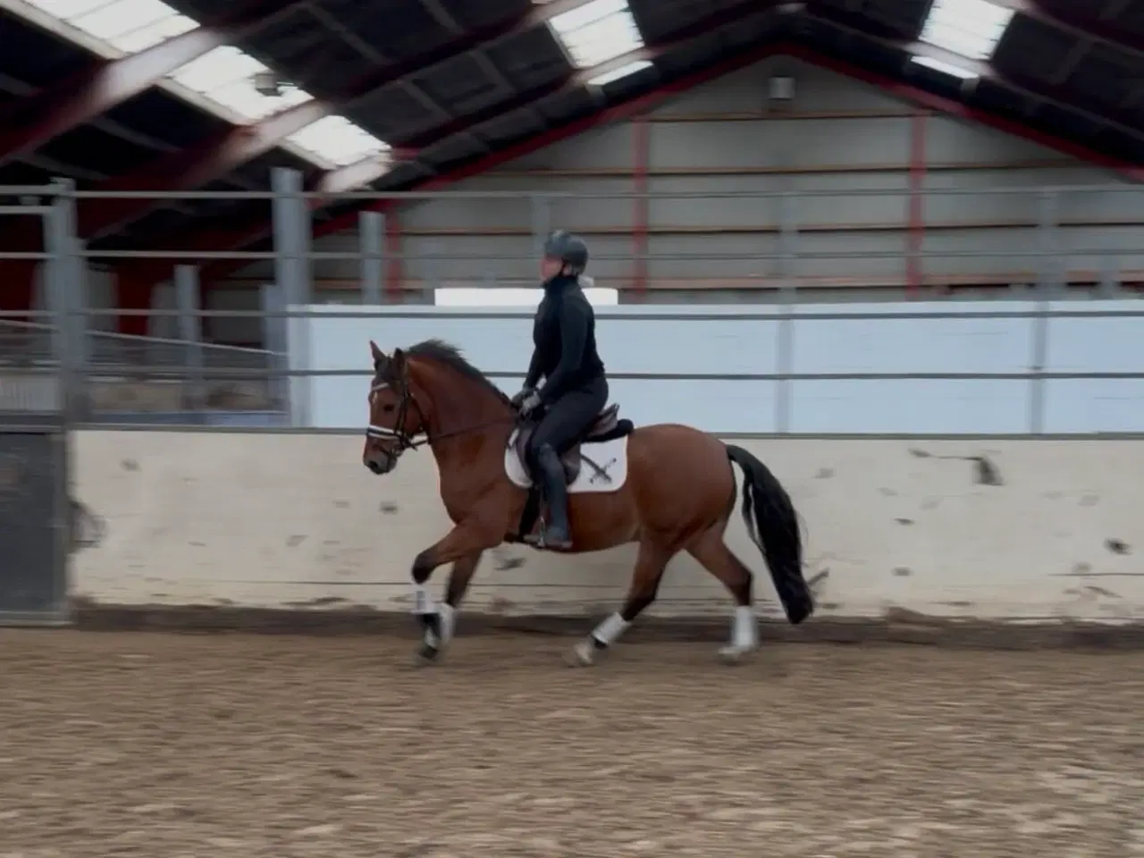 Billede 3 - Sød 1’er pony