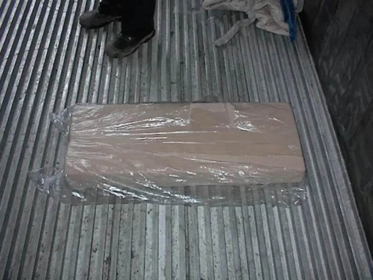 Billede 4 -   Adria Hynder