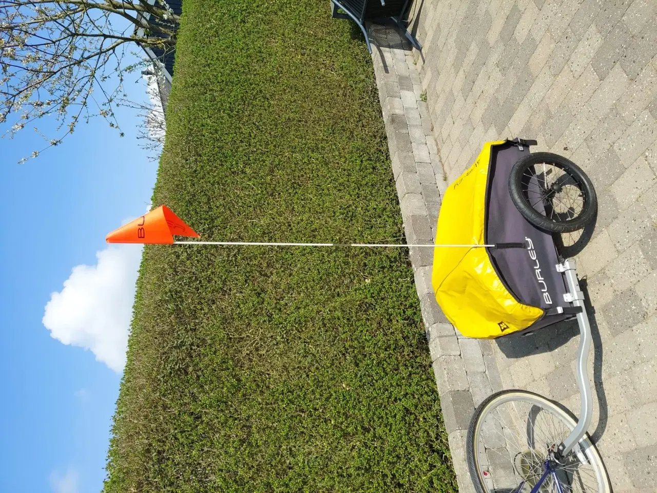 Billede 1 - Burley Nomad cykelanhænger