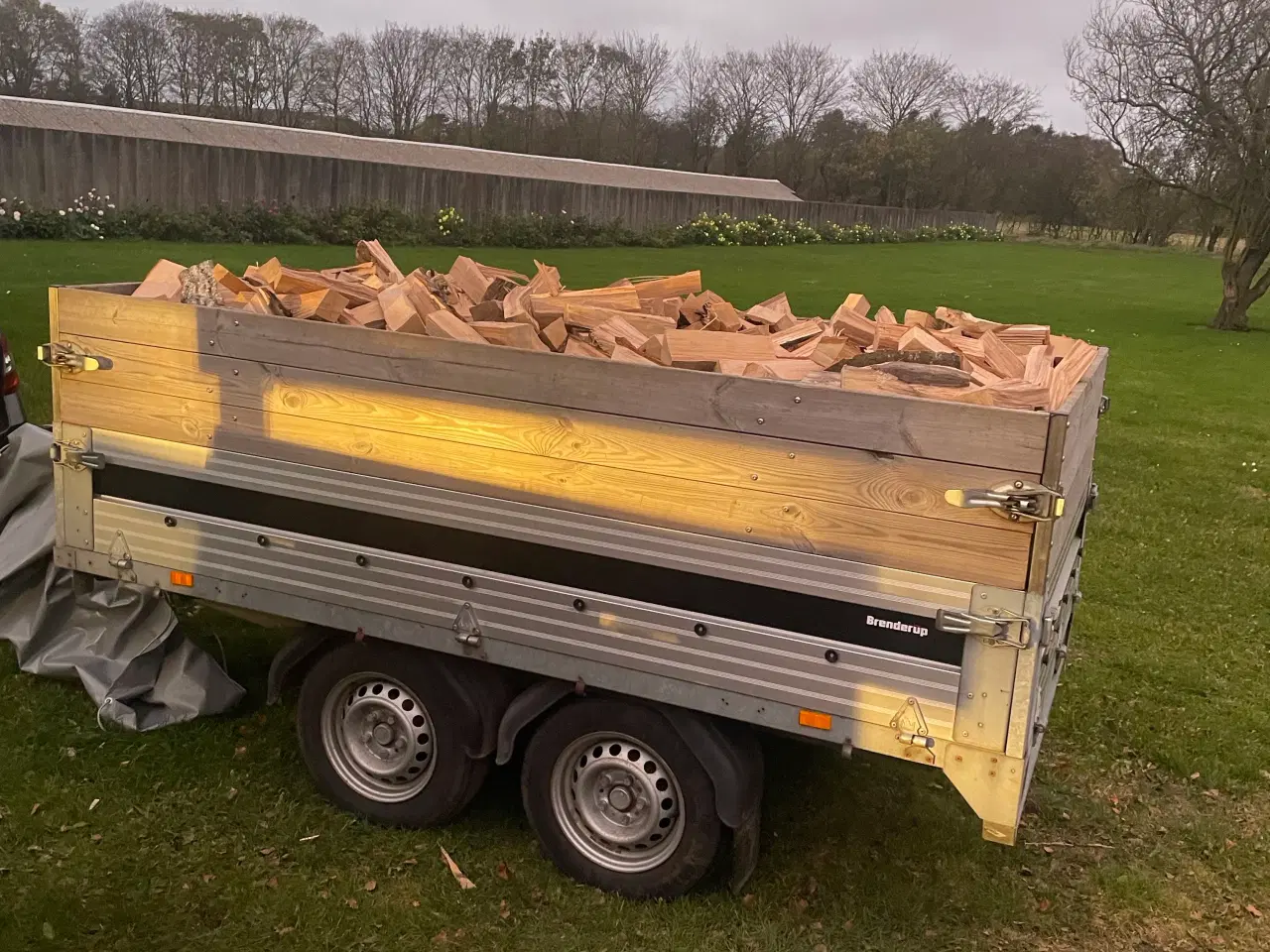 Billede 2 - Askebrænde