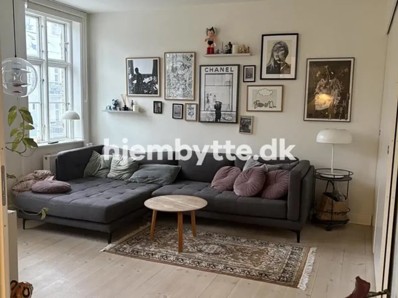 Billede 11 - Hjembytte - NørreAllé