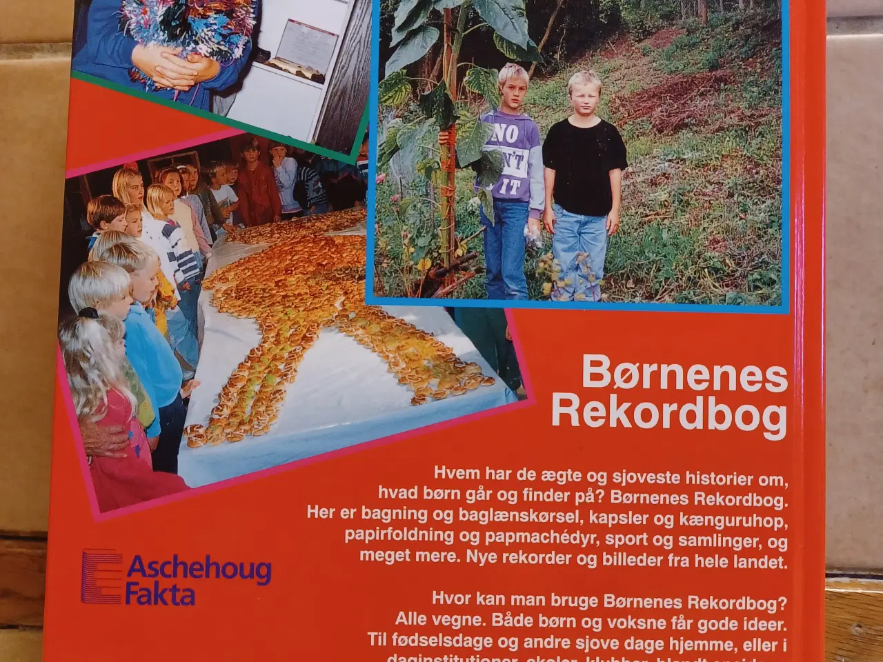 Billede 5 - Børnenes Rekord Bog 1994