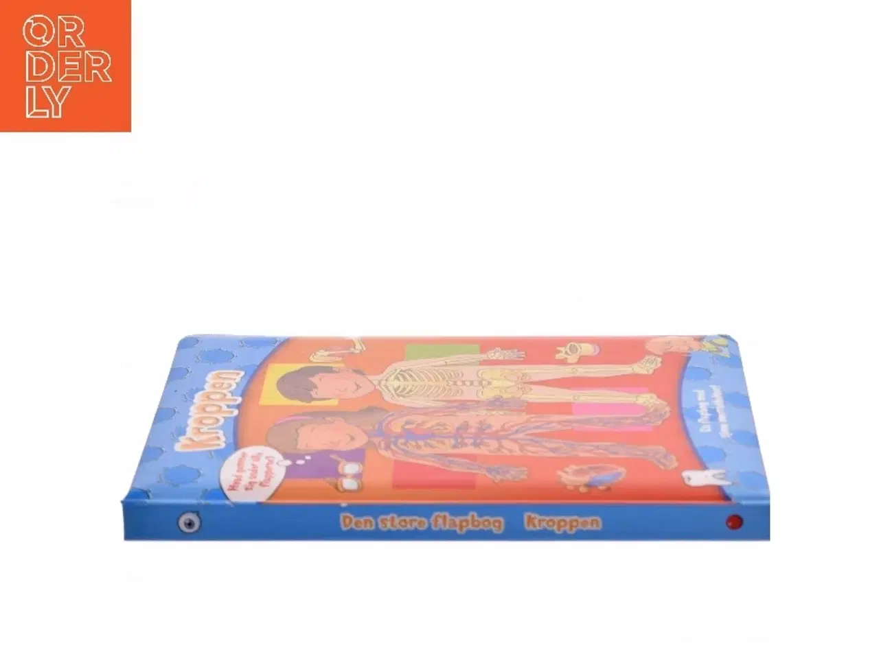 Billede 2 - Kroppen (Bog)