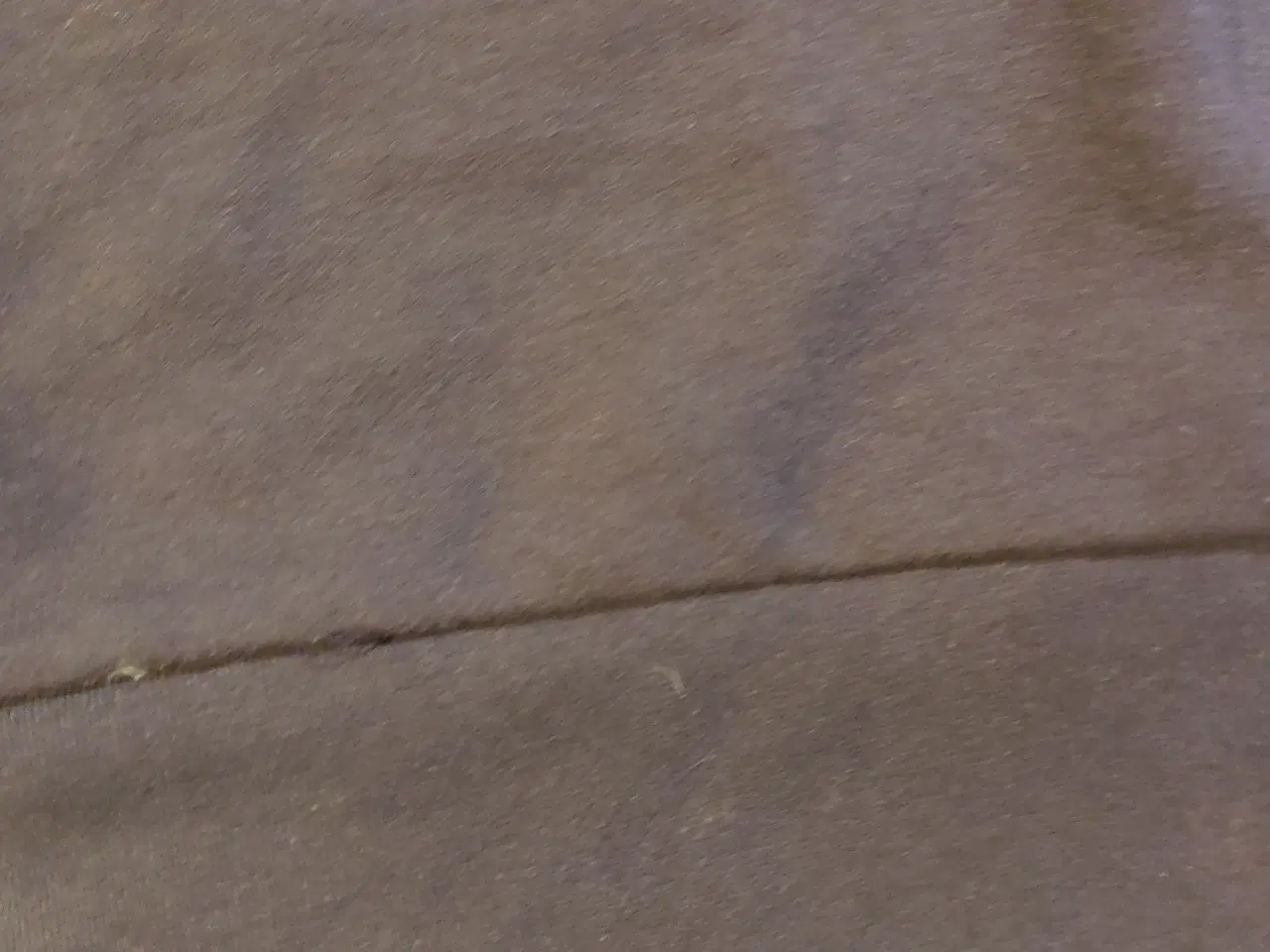 Billede 8 - trøje/sweatshirts  str. XL