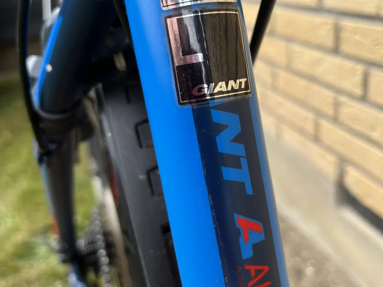 Billede 7 - Giant talon 2