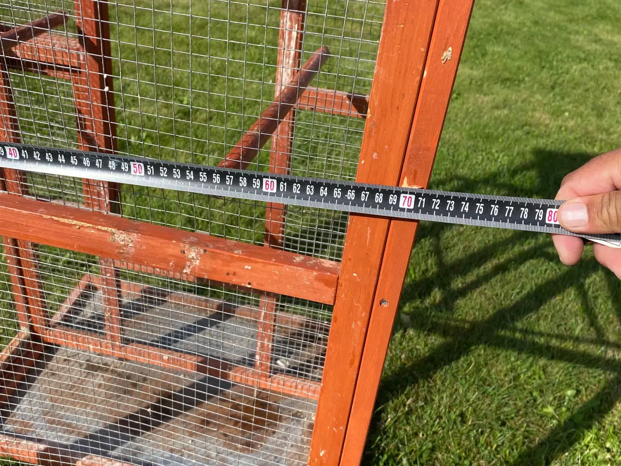 Billede 7 - Fugle bur