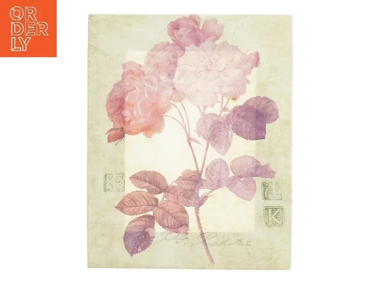 Billede 1 - Blomstret lærredsprint fra Blomsterbillede (str. 25 x 20 cm)