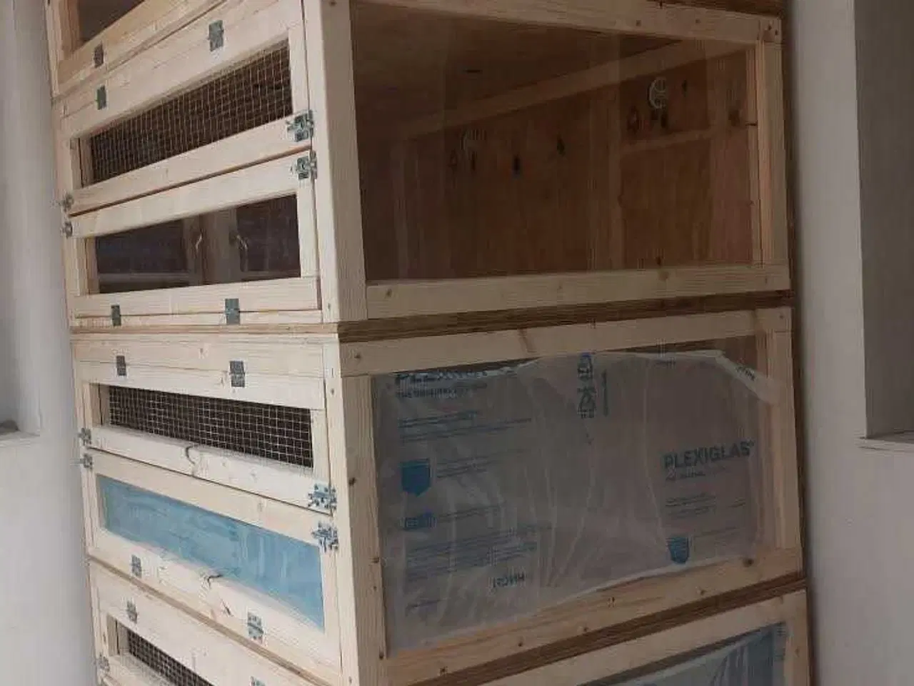 Billede 1 - Store marsvinebure på Sjælland & Jylland