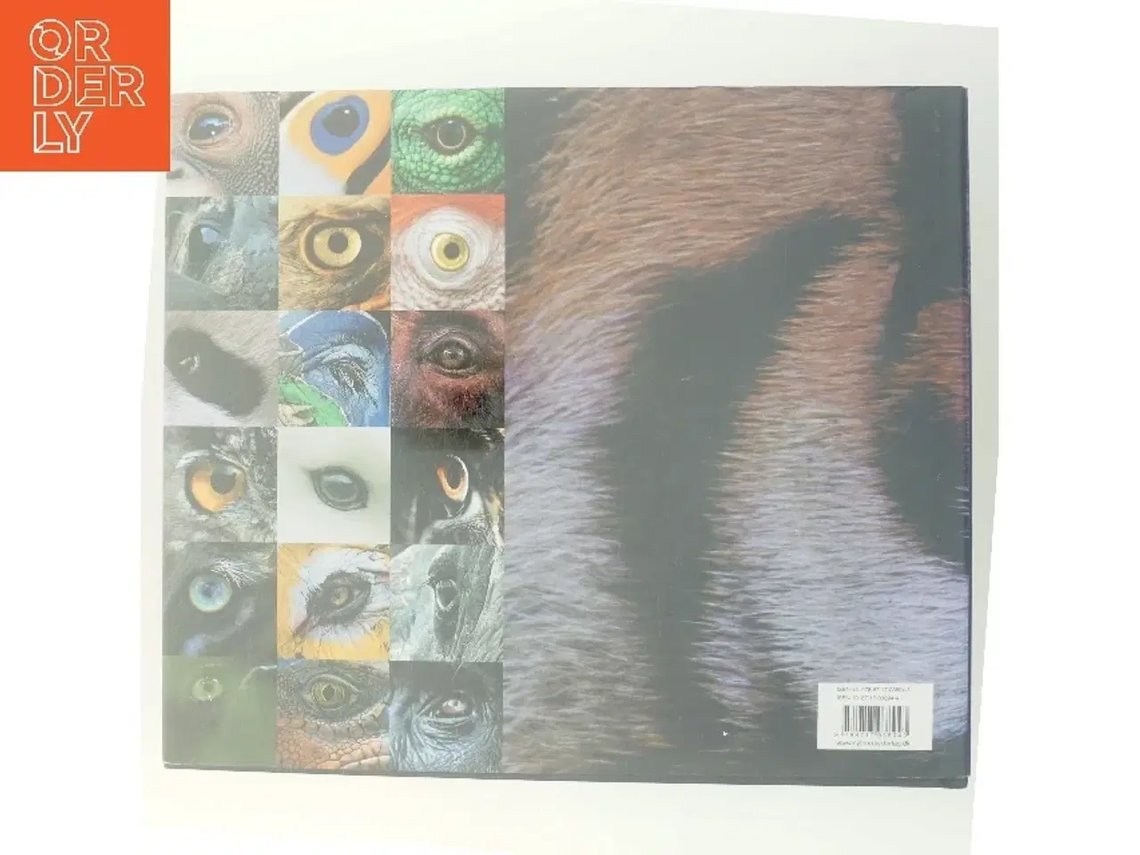 Billede 3 - Helt vildt af Steve Bloom (f. 1953) (Bog)