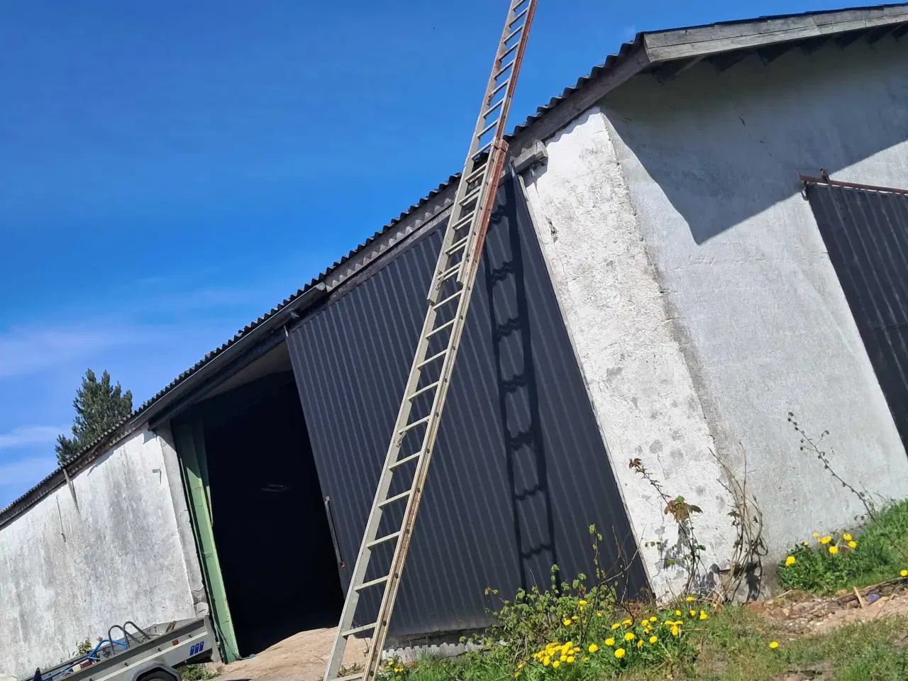 Billede 2 - 10m alustige (skydestide)