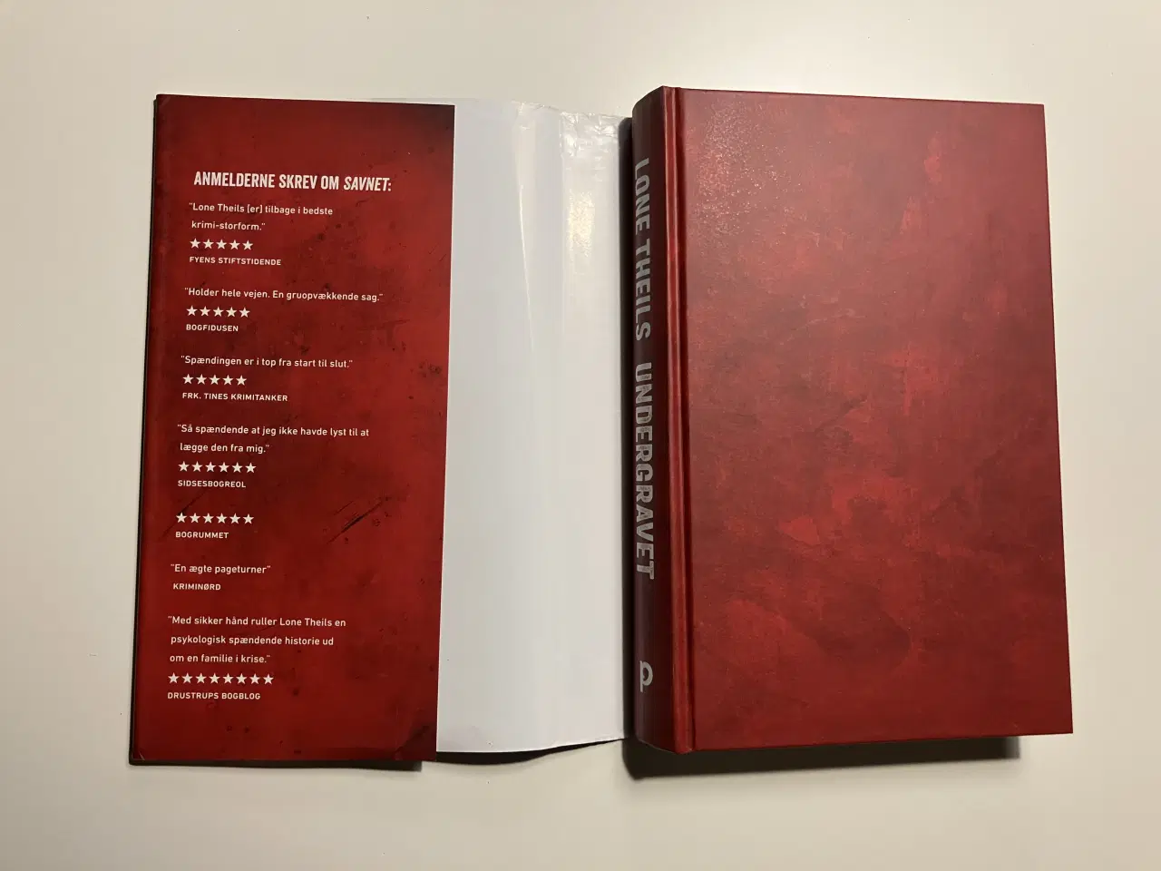 Billede 3 - Undergravet. Af Lone Theils