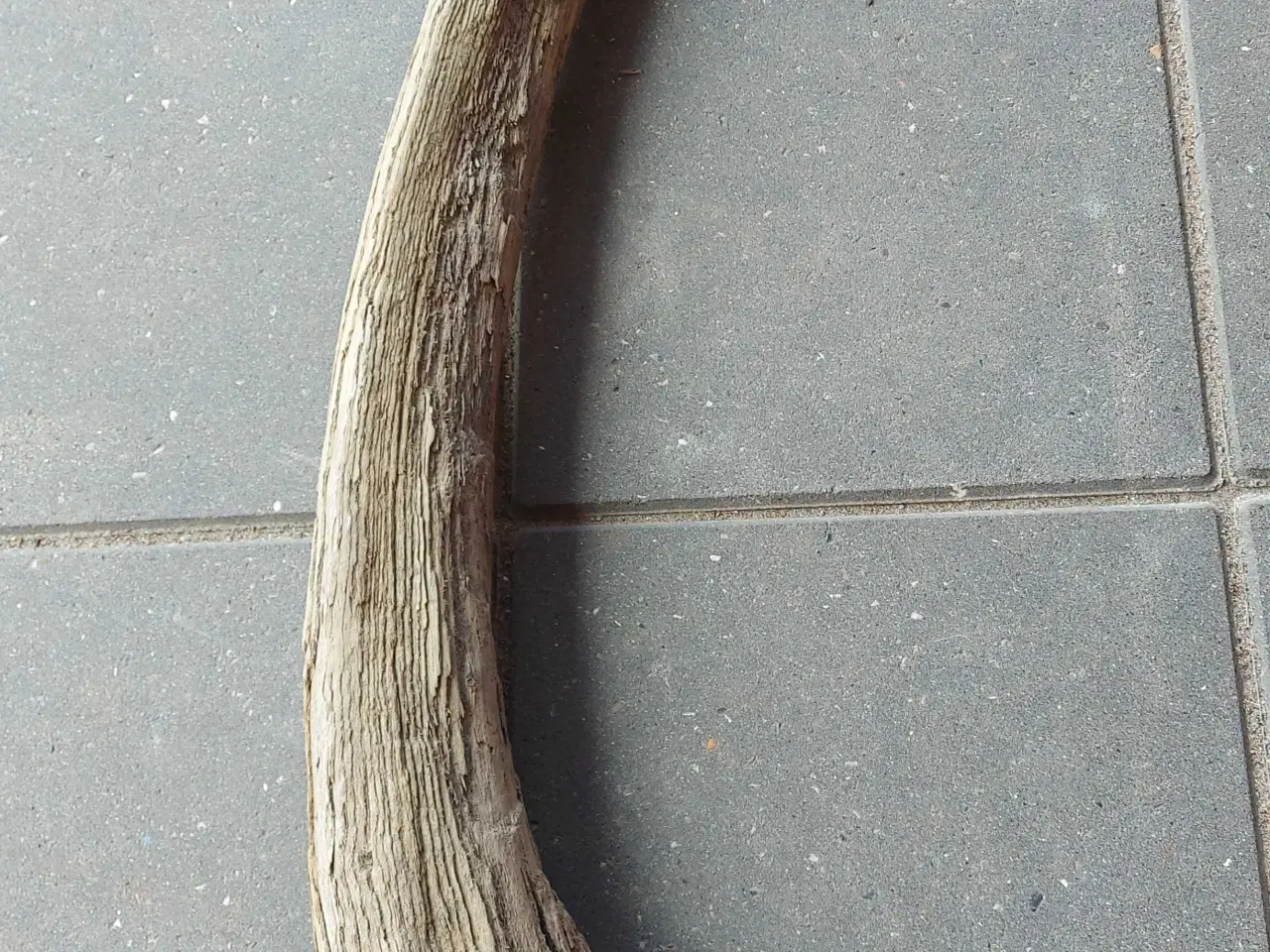 Billede 4 - Drivtømmer, flot buet stykke på 1 meter