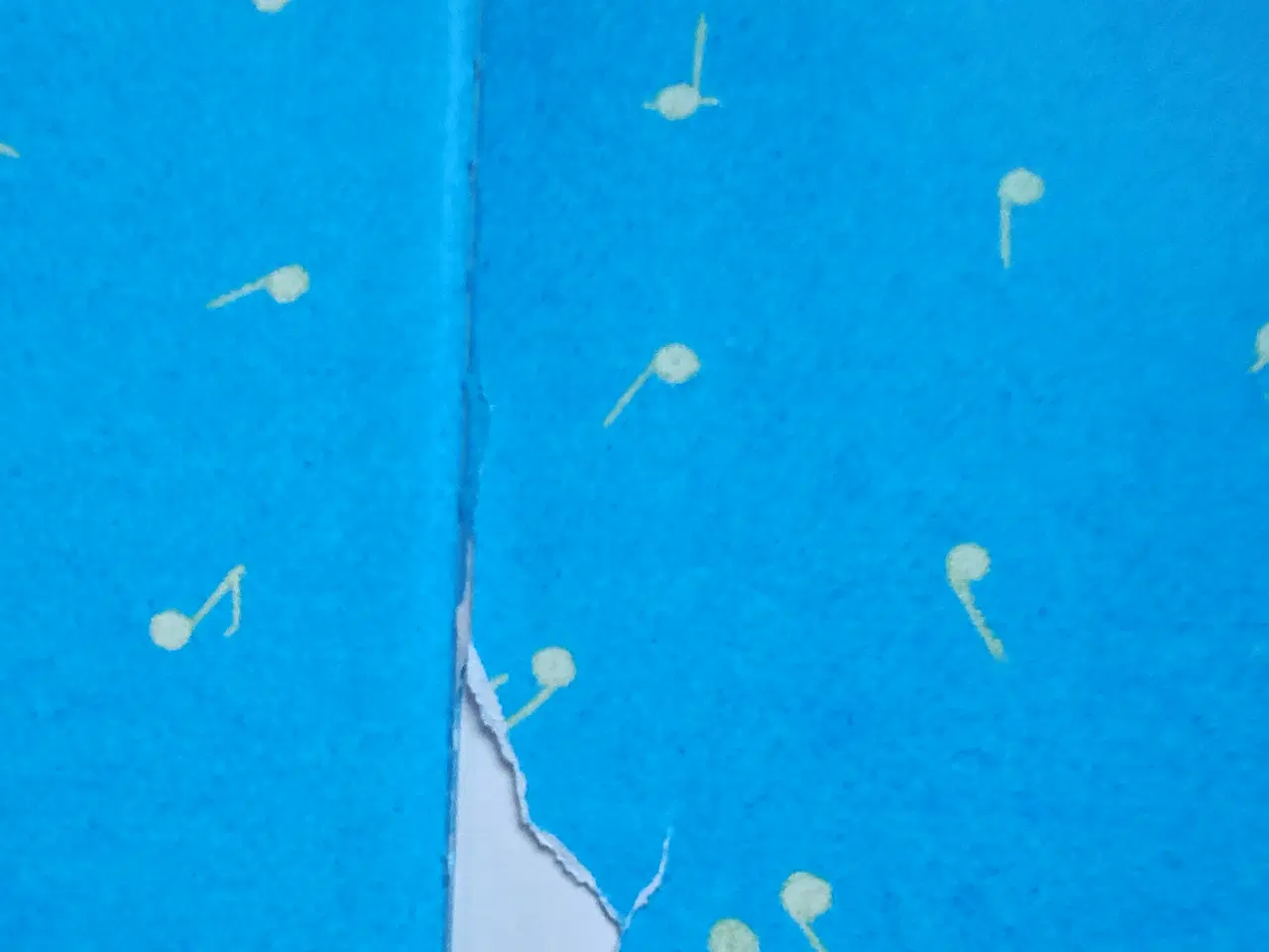 Billede 3 - Bamses allergoeste molodibog BOG nodebog