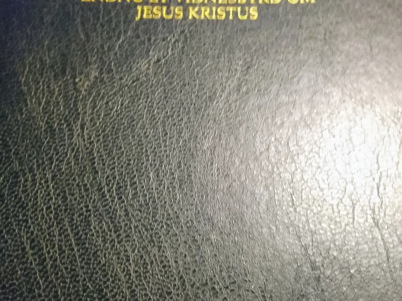 Billede 1 - Mormons bog.