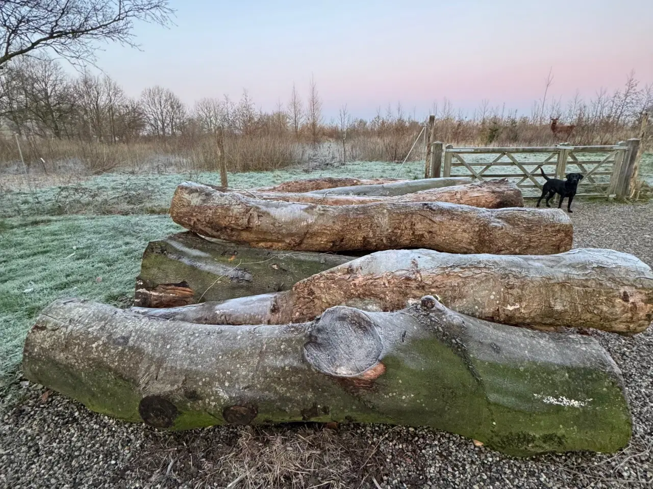 Billede 1 - Brænde 13 rm 