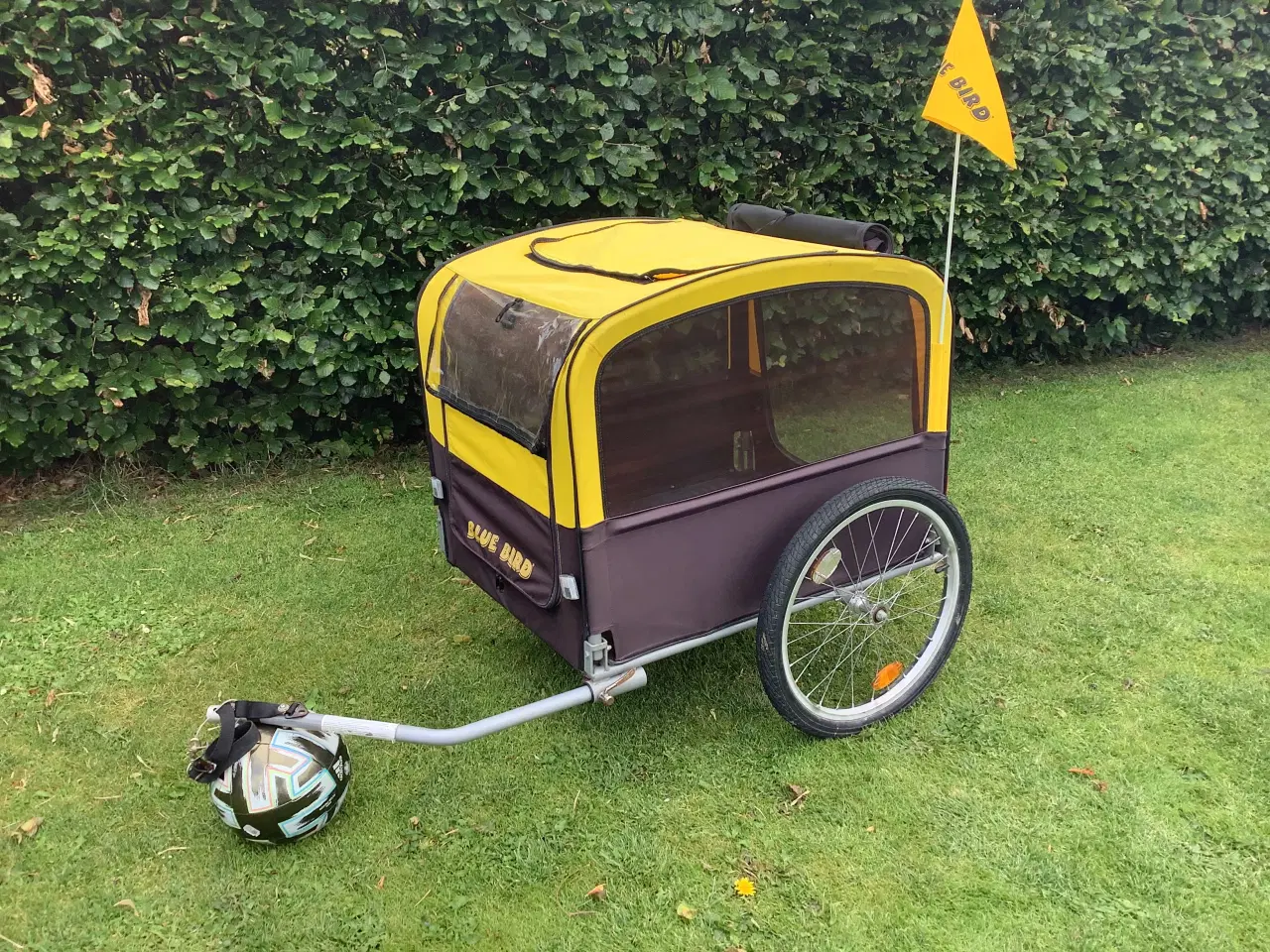 Billede 1 - BLUE BIRD hundetrailer