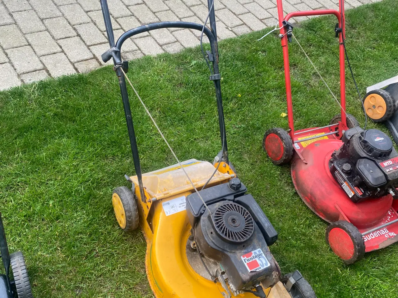 Billede 7 - Rotor plæneklipper 