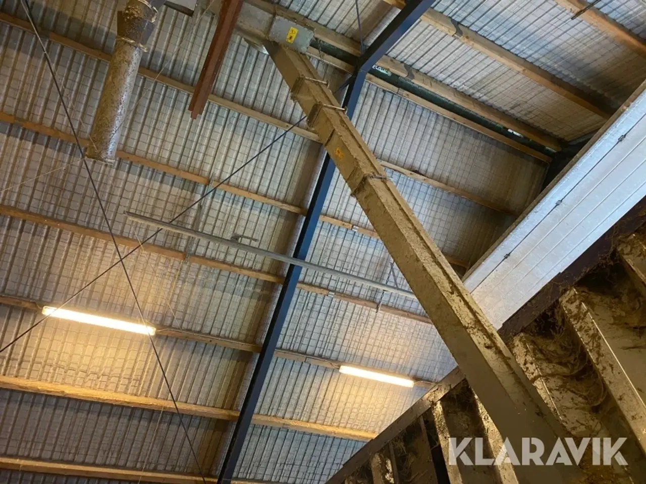 Billede 4 - Kornelevator ? ca 40 tons pr time