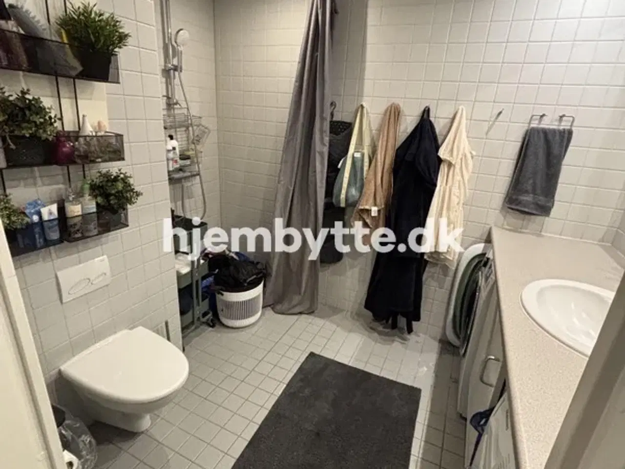 Billede 14 - Hjembytte - Firkløverparken