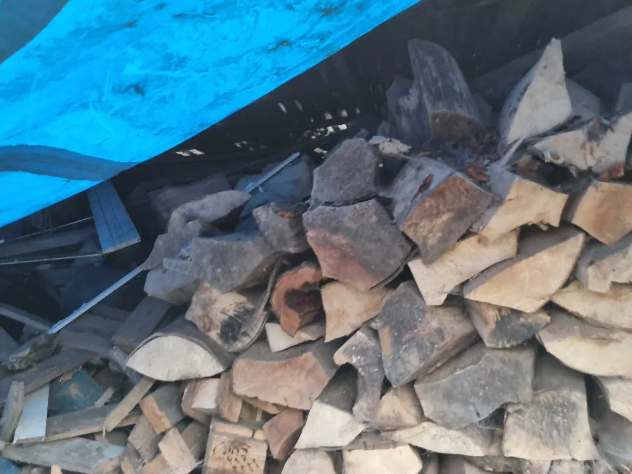 Billede 3 - Tørt bøgebrænde 