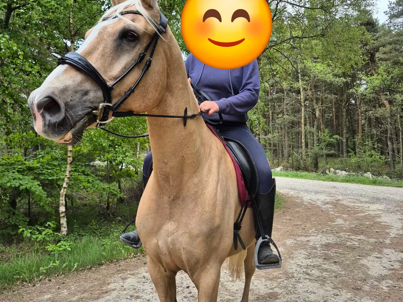 Billede 3 - Barbiehest og bedste kammerat sælges