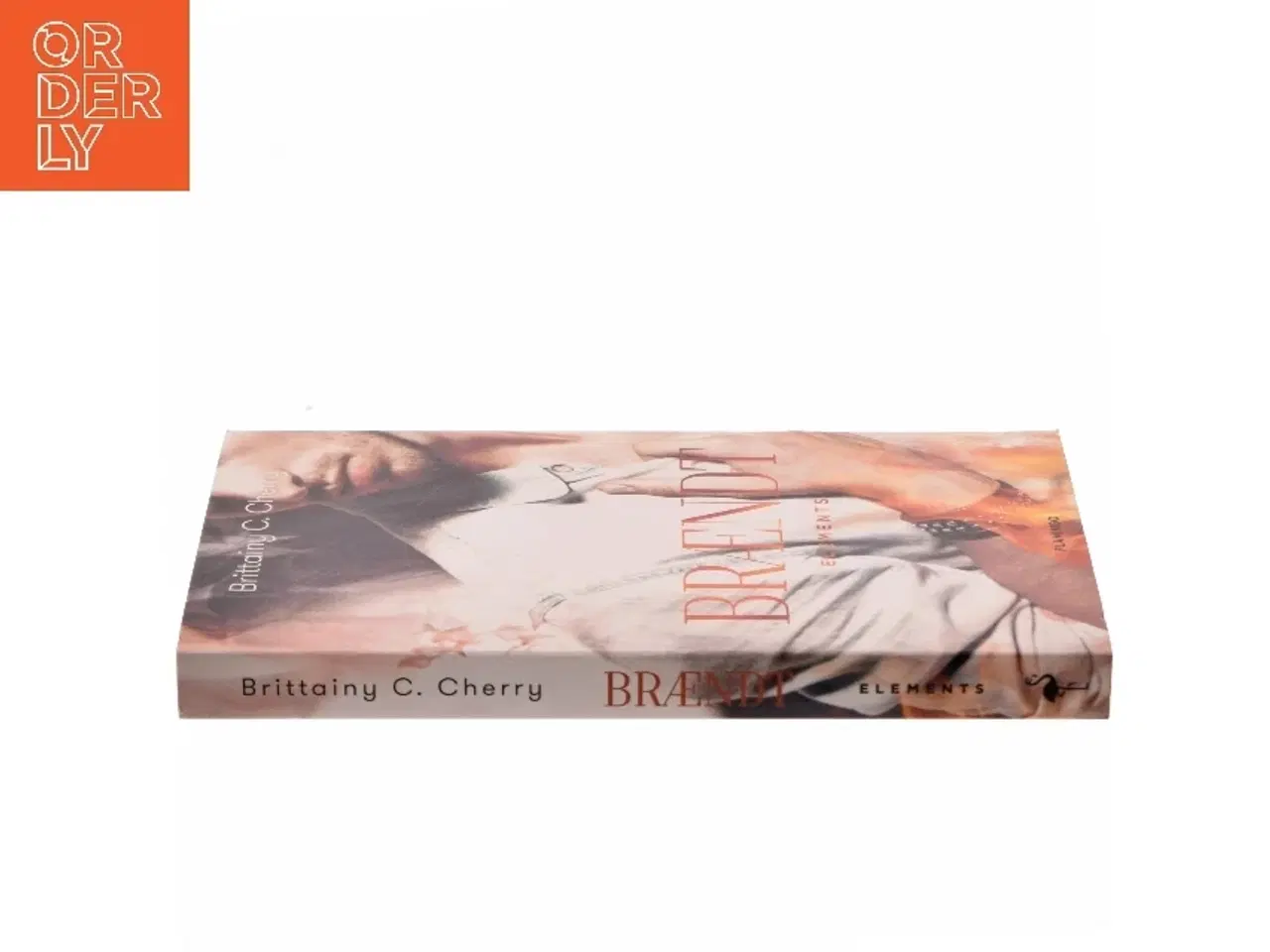 Billede 2 - Brændt af Brittainy C. Cherry (Bog)