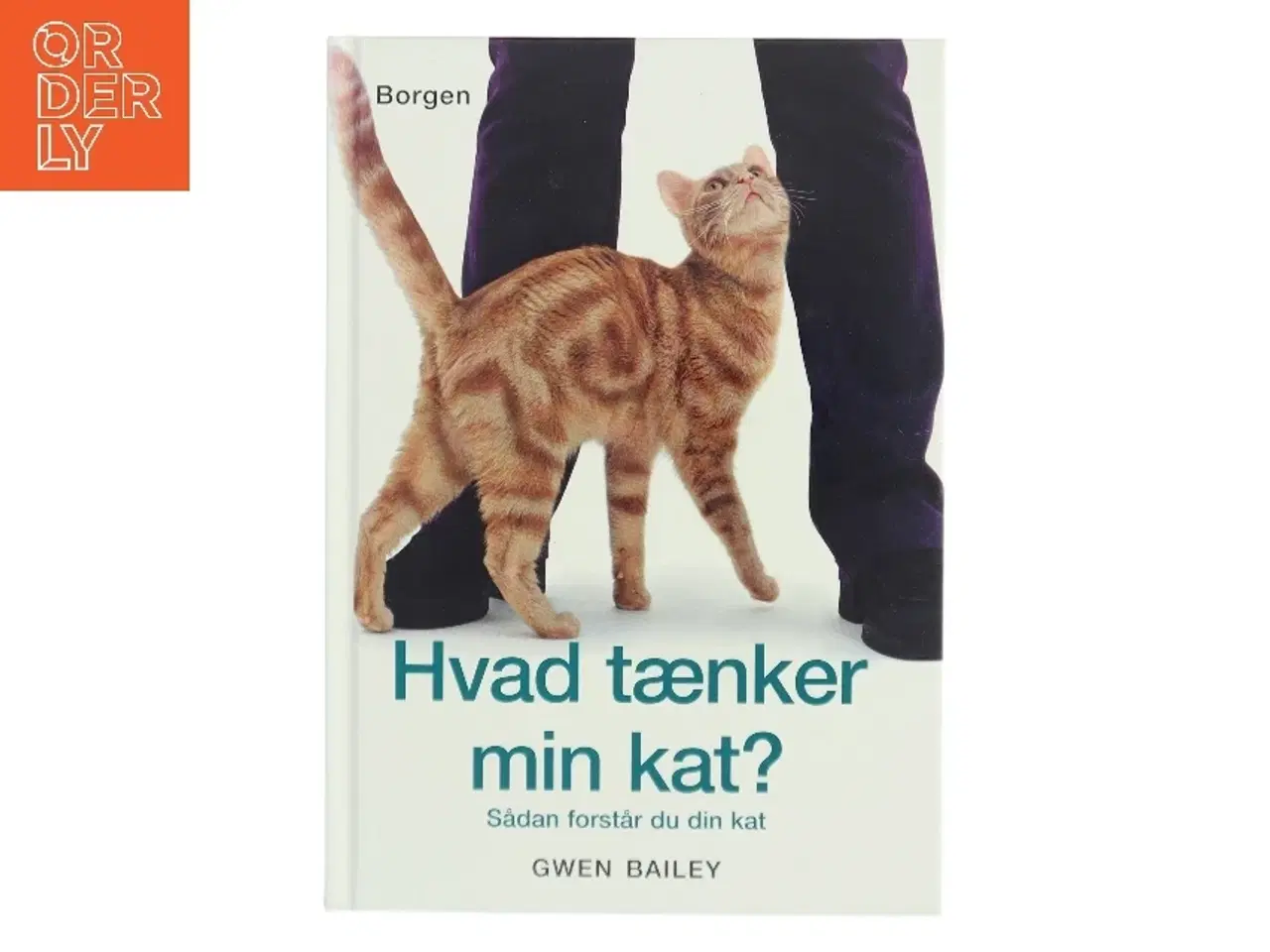 Billede 1 - Hvad tænker min kat? : sådan forstår du din kat af Gwen Bailey (Bog)
