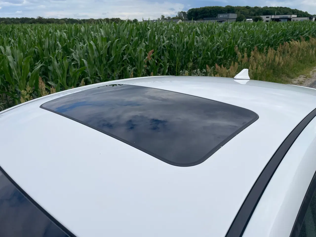 Billede 5 - Hyundai Ioniq Electric Premium 