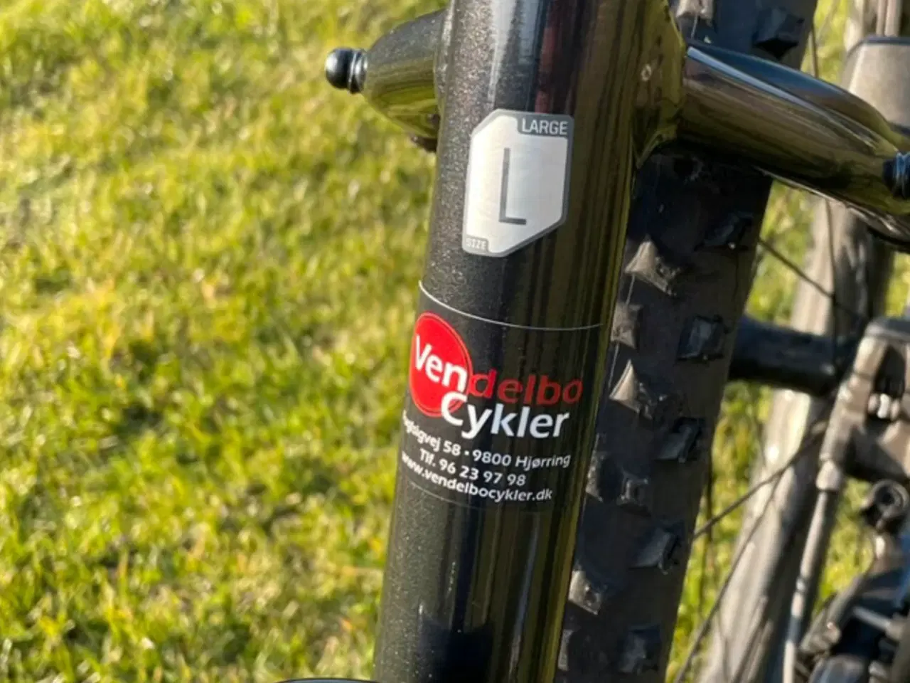 Billede 7 - Cannondale Trail SL3 