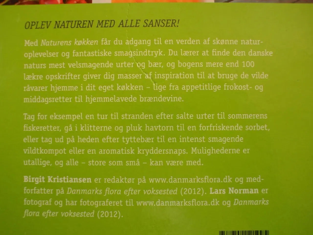 Billede 3 - naturens køkken - find og spis de lækreste bær og 