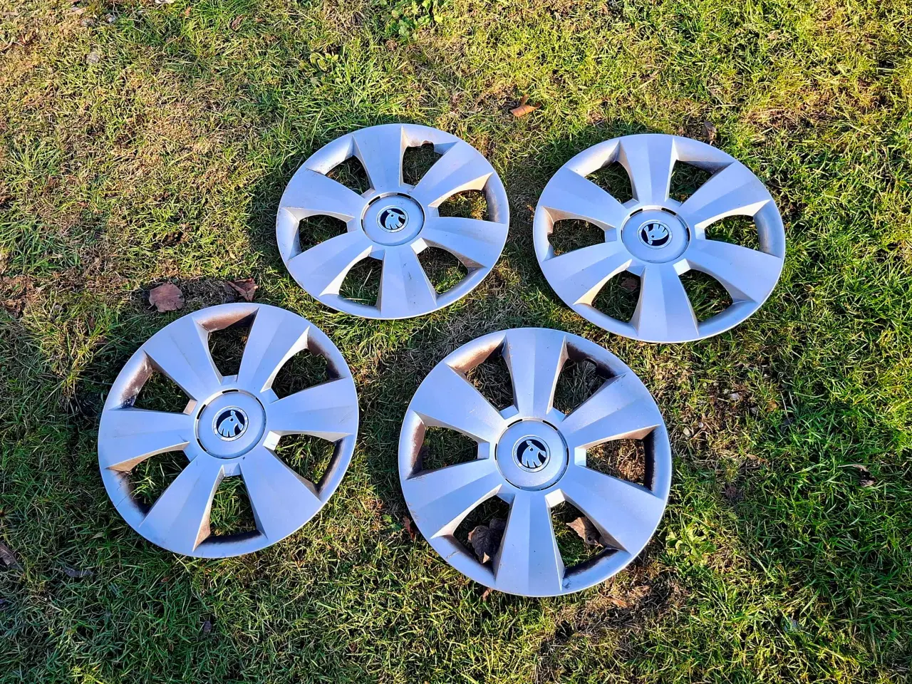 Billede 3 - Skoda hjulkapsler 