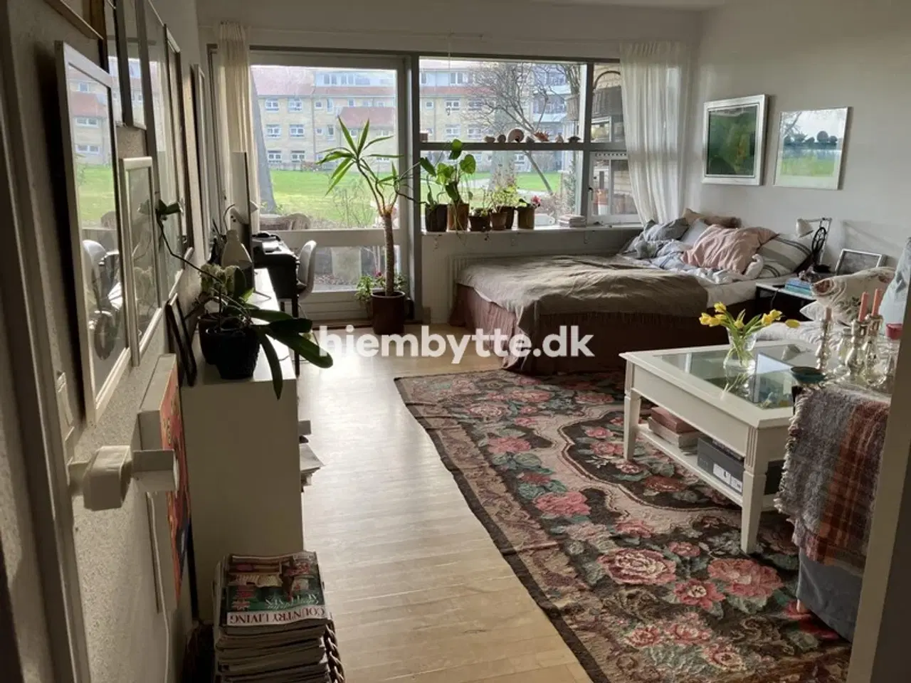 Billede 8 - Hjembytte - MikkelborgPark