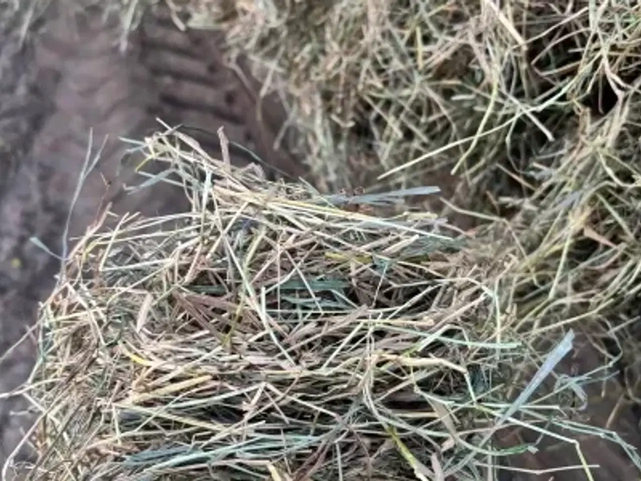 Billede 1 - Økologisk 2 slet Wrap